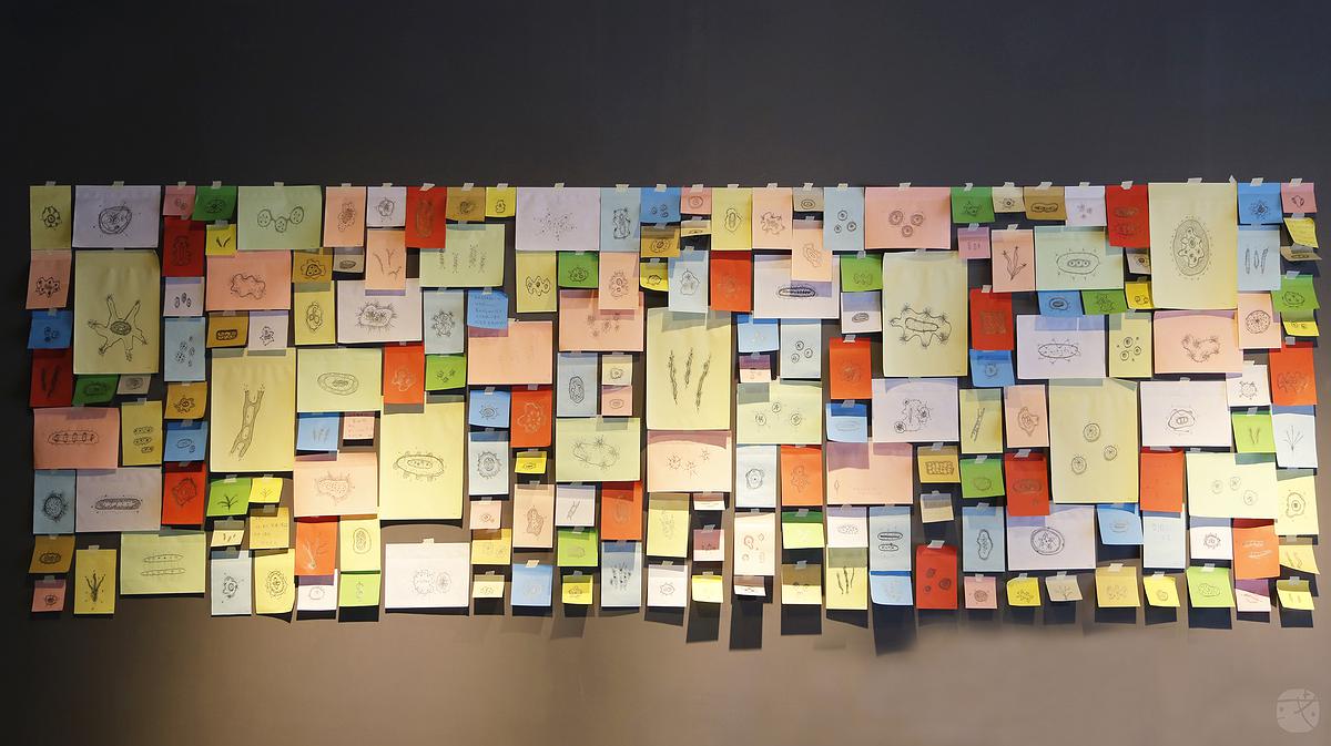 Plants Healing—A Discourse on Ying-Syuan Huang's Artworks's Cover