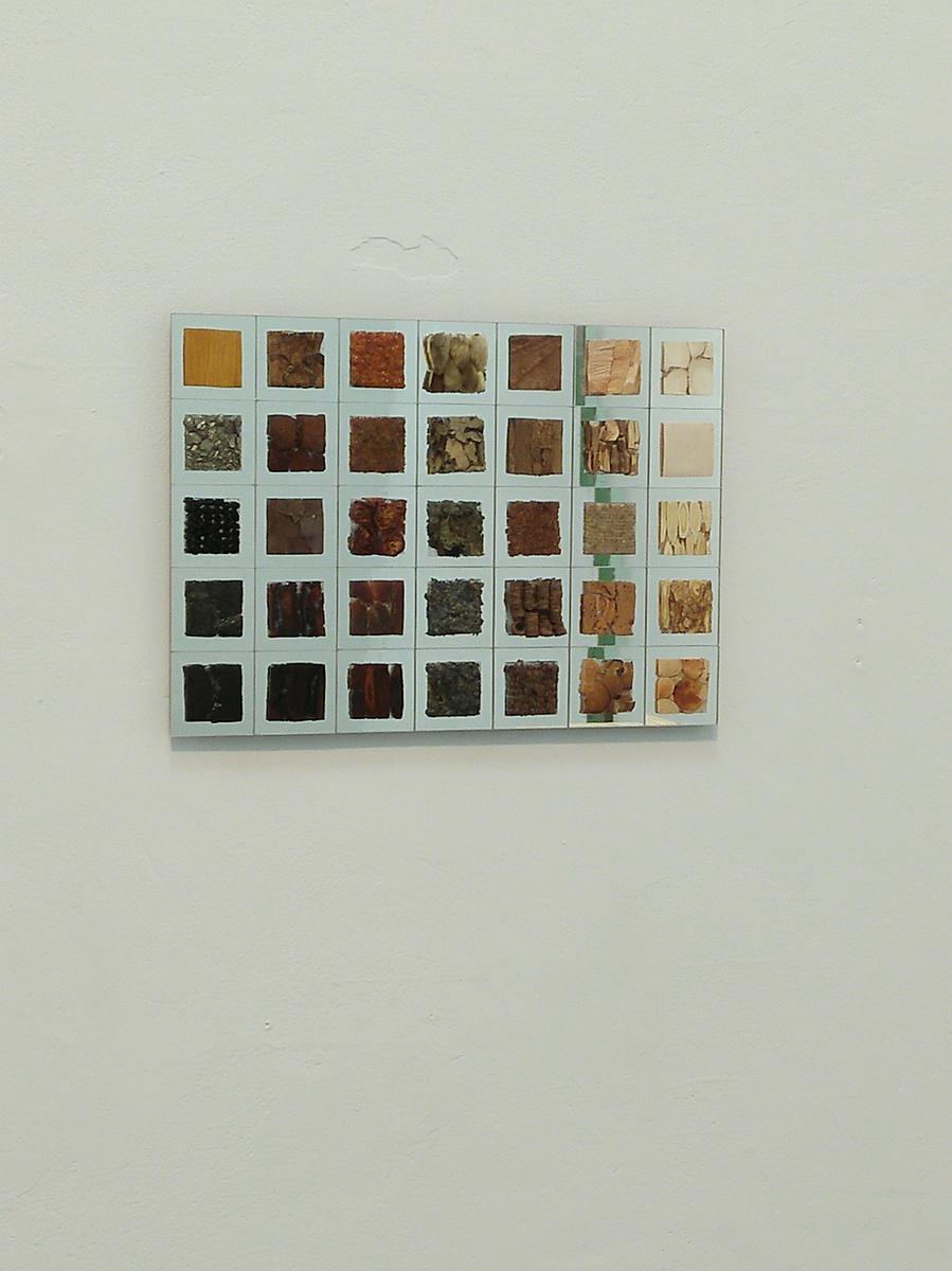 中藥系列作品7的封面圖