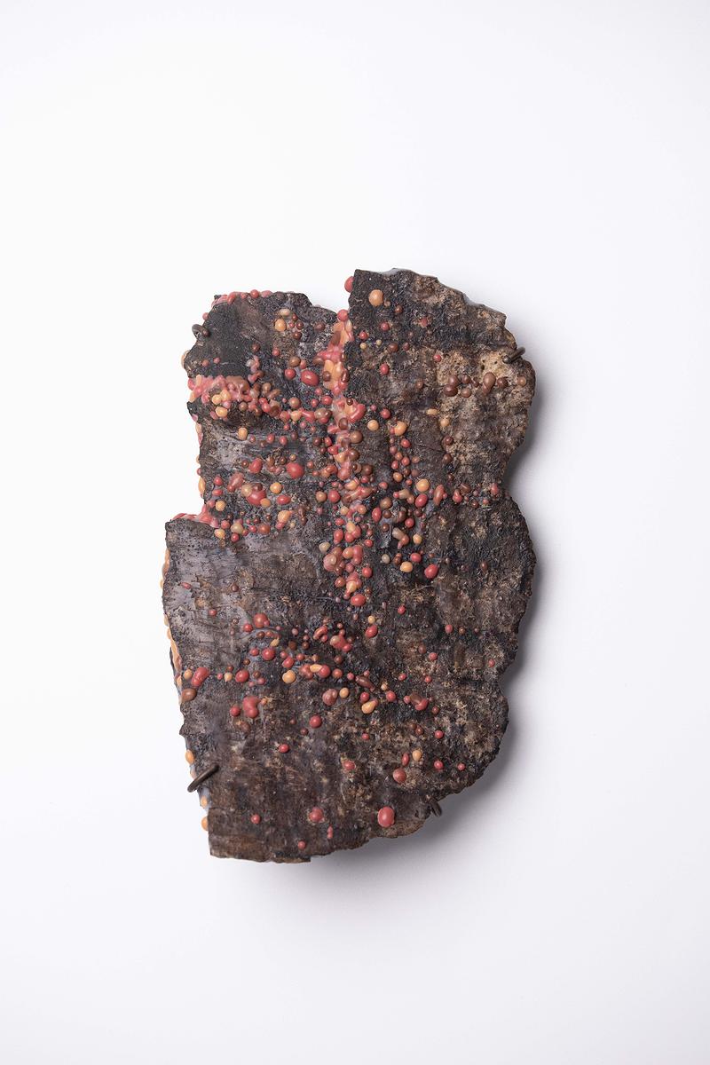 2025_11_Scab_brooch_bark4-2的封面圖