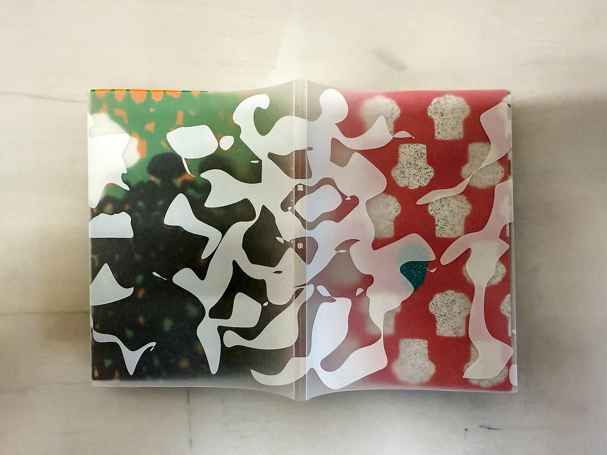 漾蕩後-書封02的封面圖