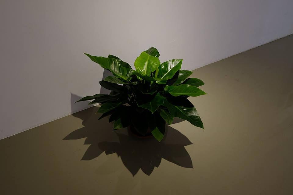 「存在」的隱喻－鄭茲尹創作研究-11-4的封面圖