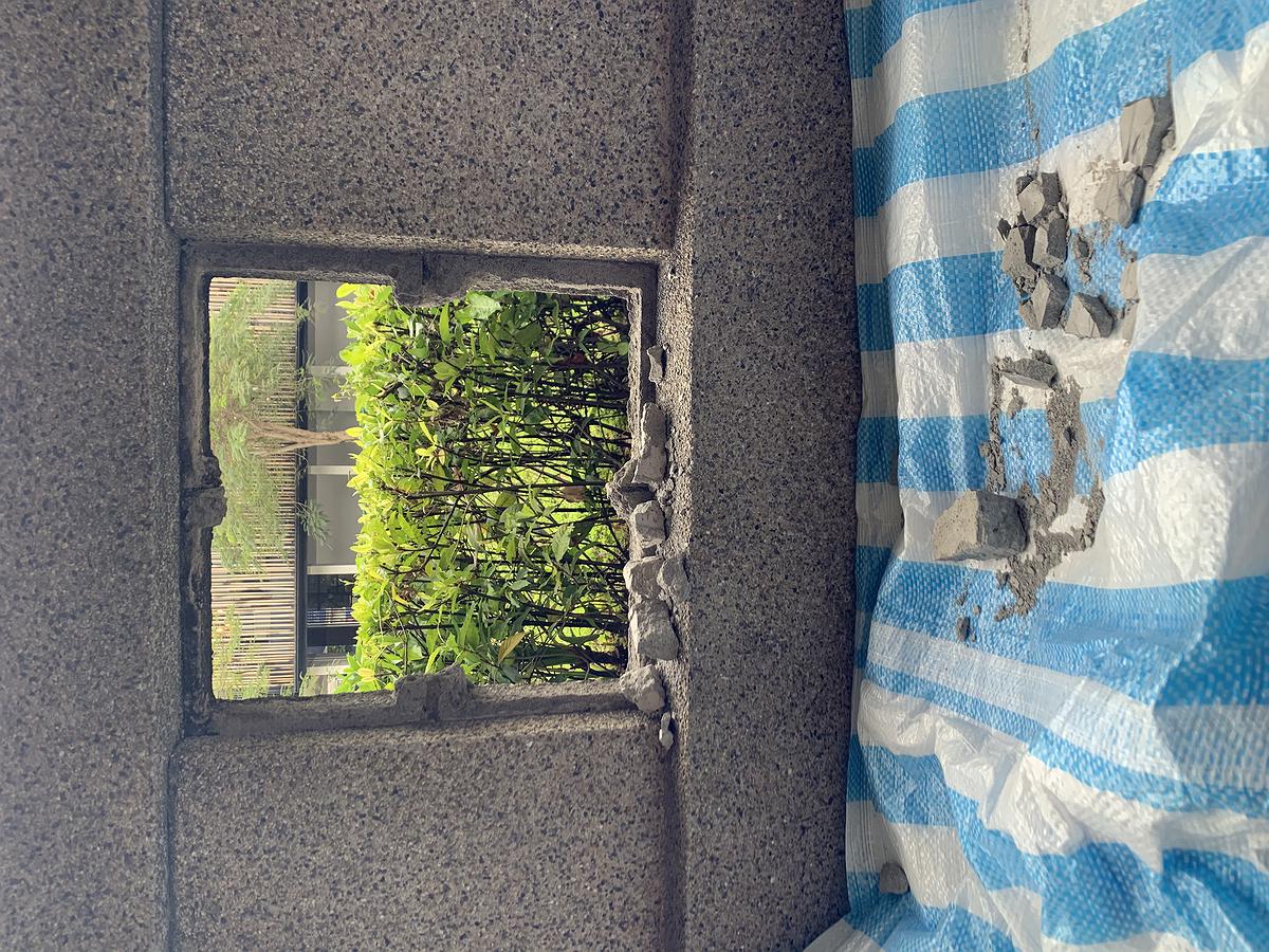 “The One” in Pluralist Creation：Research of Chen, Yu-Ting's Cover