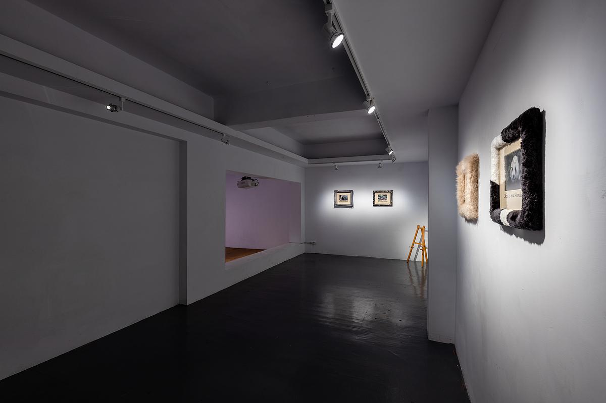 動物的缺席與現身 展場紀錄(22)的封面圖