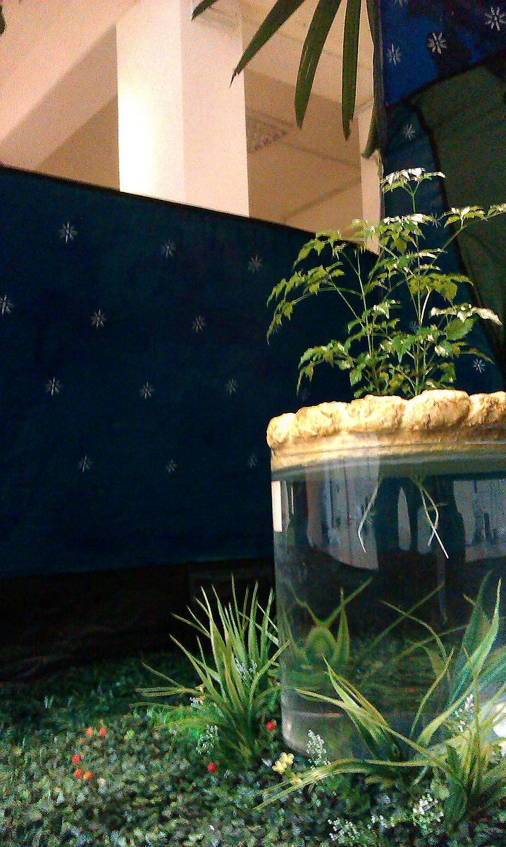 07-1陳于安，〈奇怪生命的神聖祭壇〉的封面圖