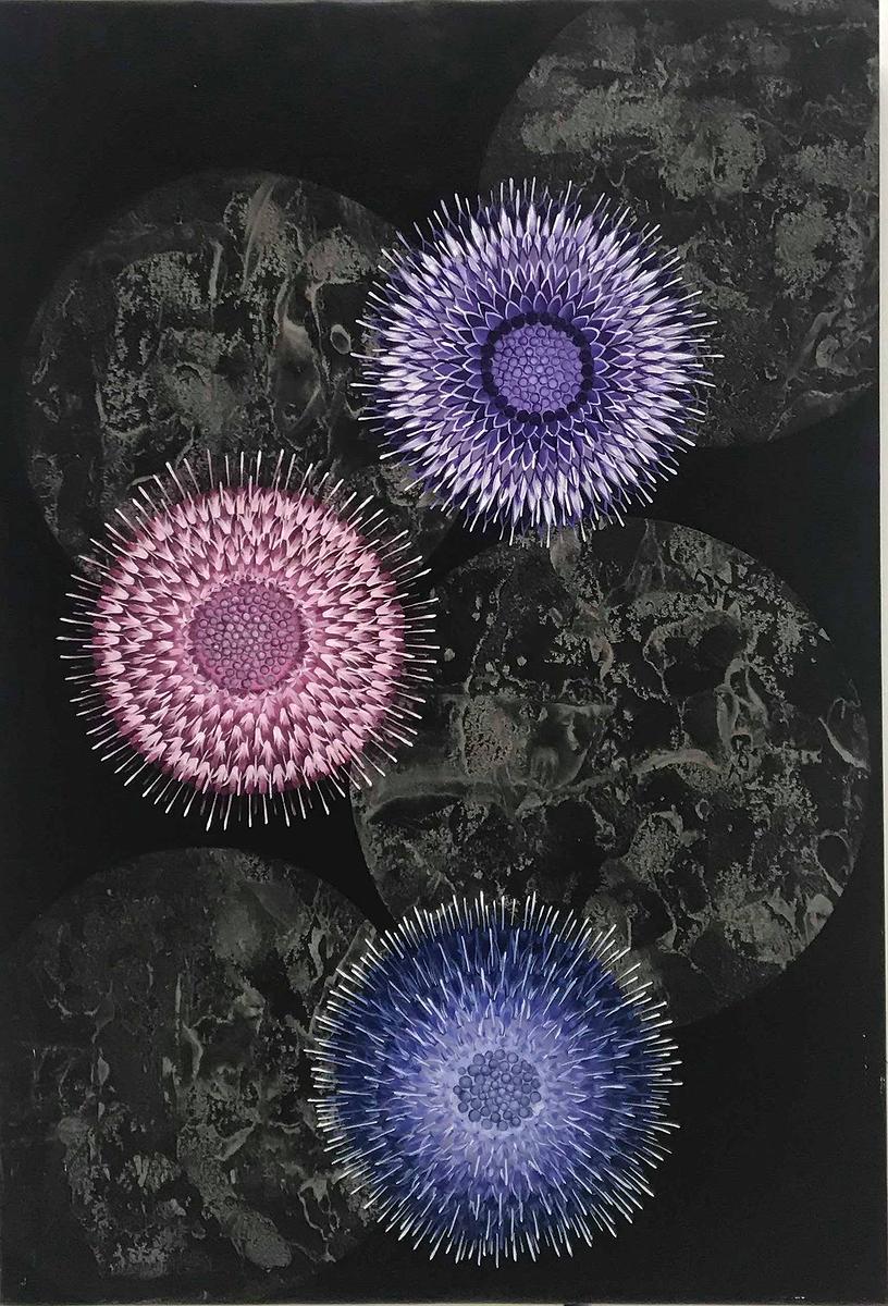 花非花系列5的封面圖