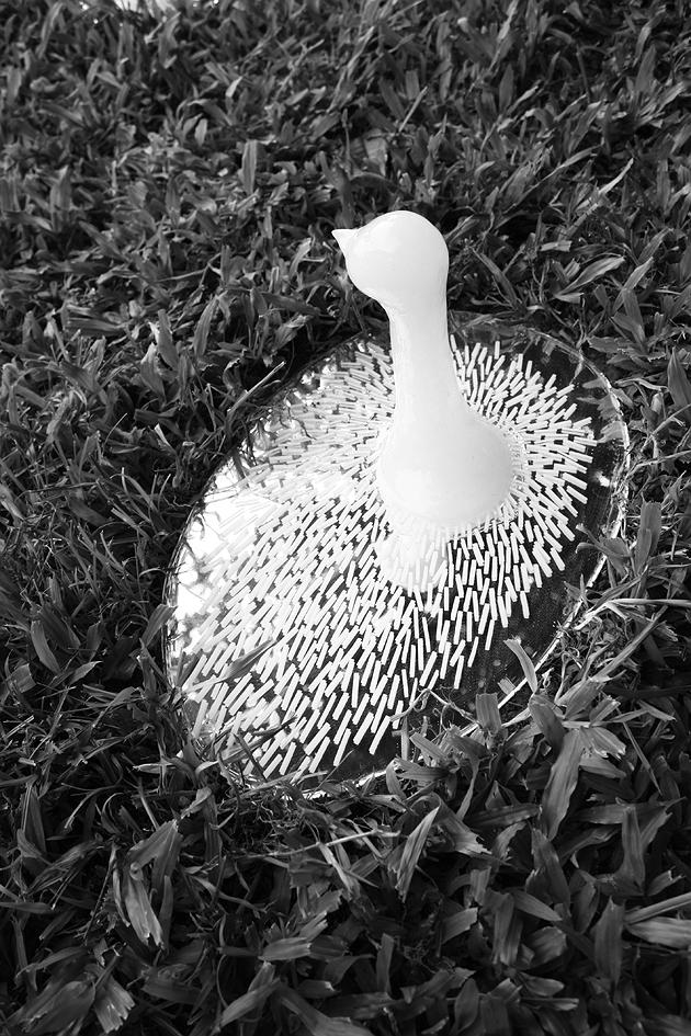 《黃色小鳥─看不見》的封面圖