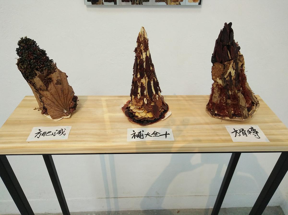 中藥系列作品8的封面圖