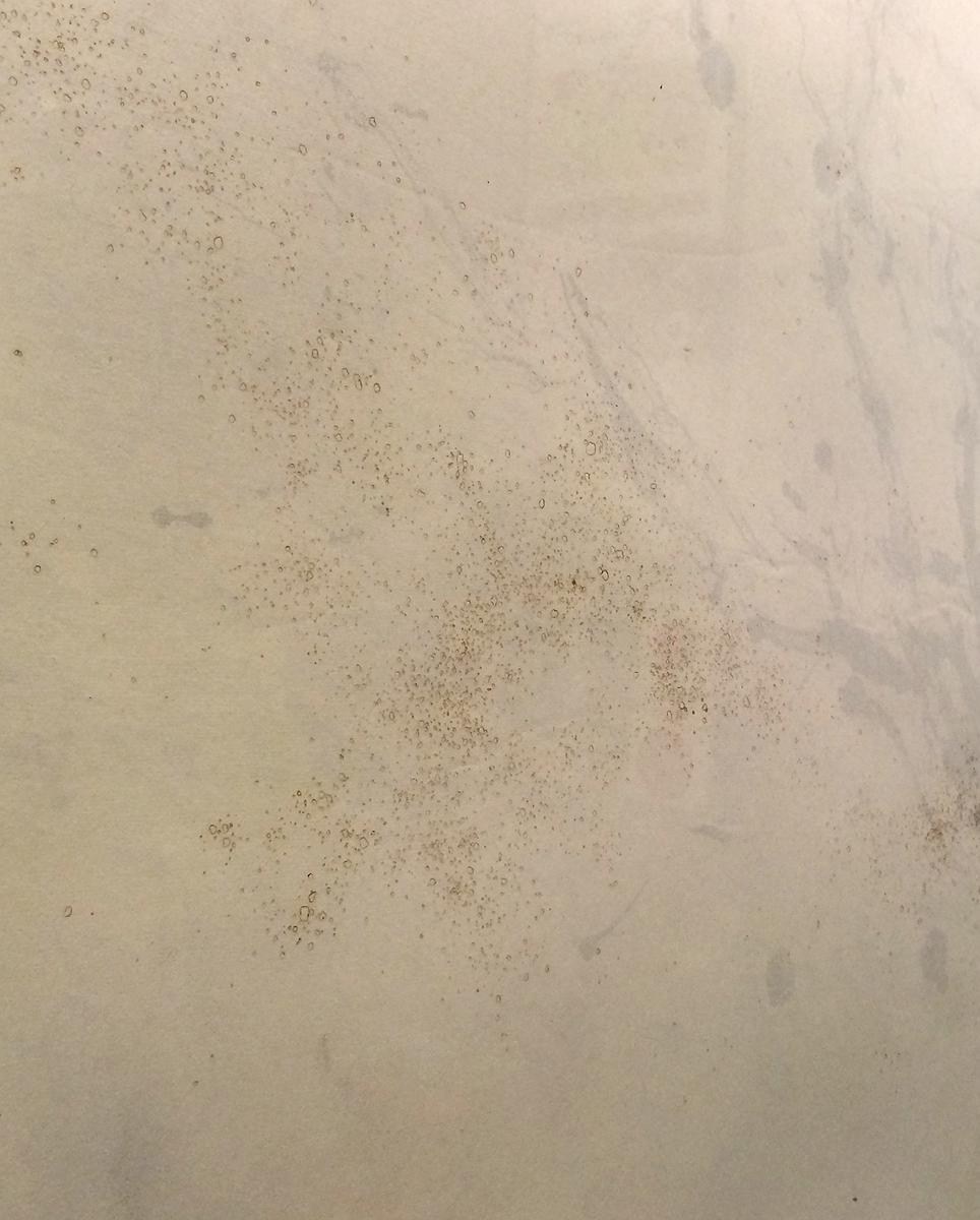 022_2015_白板_04的封面圖