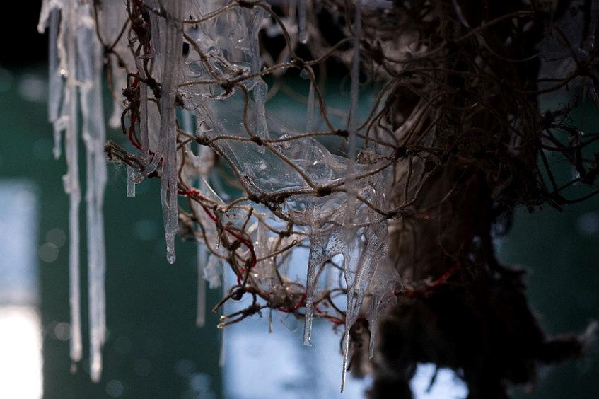 〈迷網之境〉，2018，漁網、繩子、樹酯、Antari ICE-101、ARRI燈，作品局部，身軀流動的語彙。的封面圖