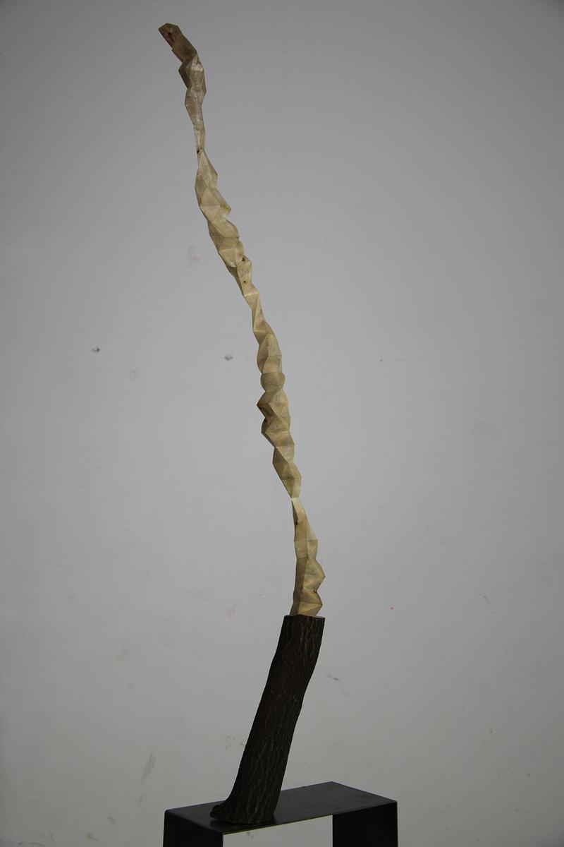 衍生‧心律8的封面圖