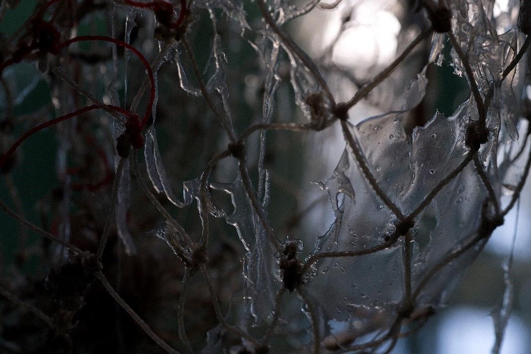 〈迷網之境〉，2018，漁網、繩子、樹酯、Antari ICE-101、ARRI燈，作品局部-5的封面圖