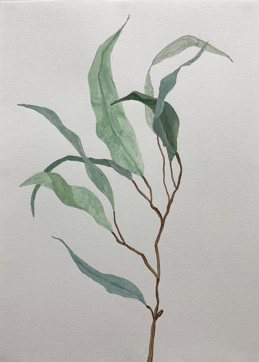 Plants Healing—A Discourse on Ying-Syuan Huang's Artworks's Cover