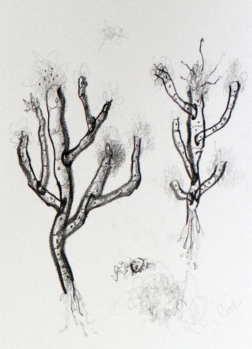 Plants Healing—A Discourse on Ying-Syuan Huang's Artworks's Cover