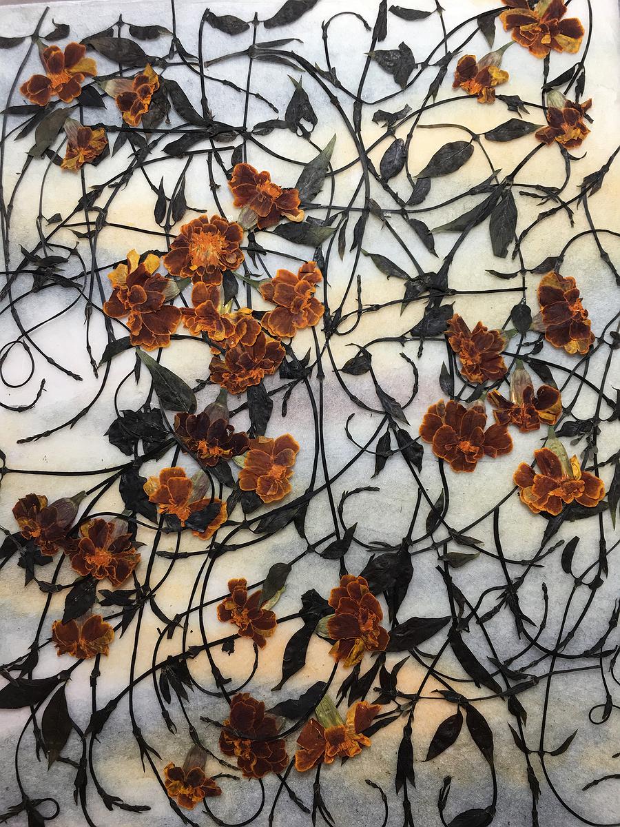 幻想曲3的封面圖