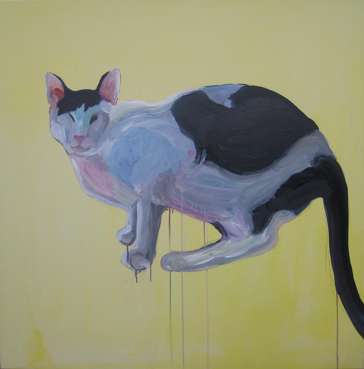 〈Top of the World〉,壓克力、畫布, 91.0 X 91.0 cm , 2011的封面圖