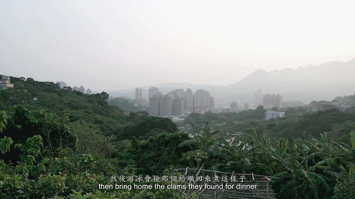 記憶補償．安適其所-16的封面圖