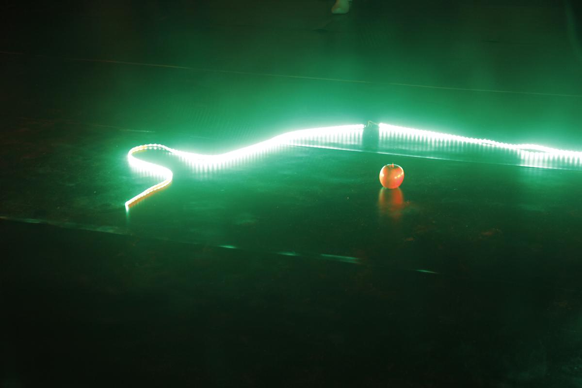 突波衝撞——楊宗倫創作論文-_MG_8472的封面圖