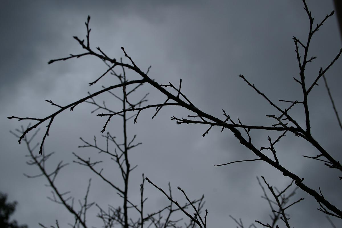 在回家的路上-平面作品-8的封面圖