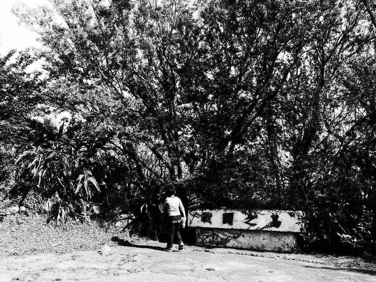 島離-殤-5的封面圖