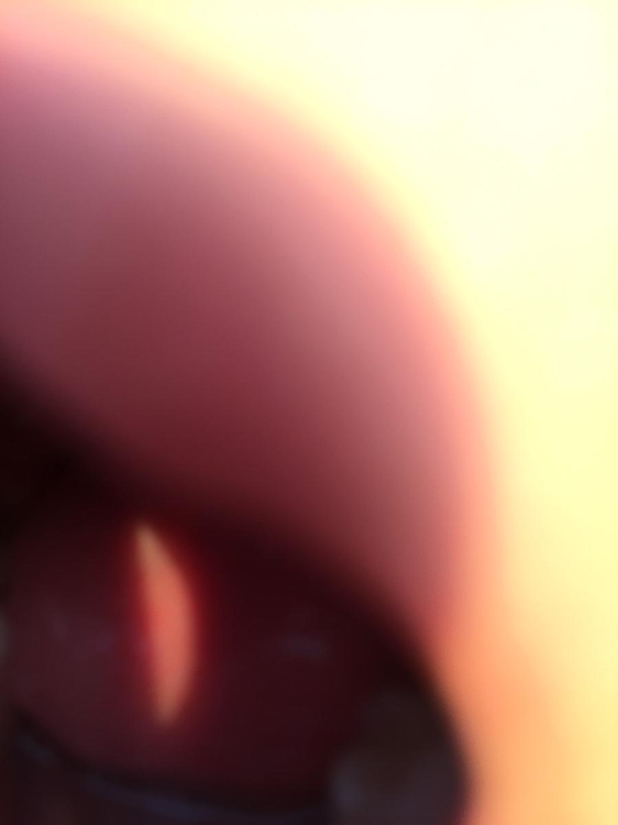 我的身體系列-我的身體3-2017-新竹的封面圖