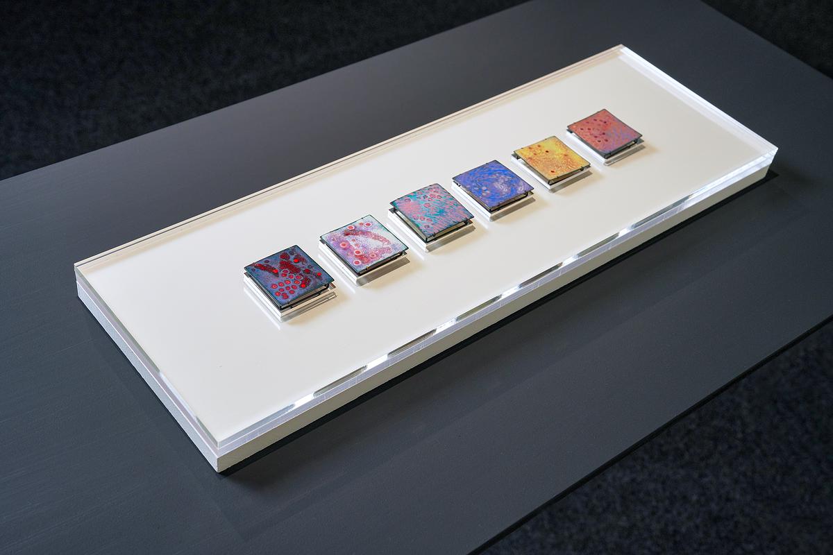 2024_04_Allergy_brooch_enamel_exhibition的封面圖