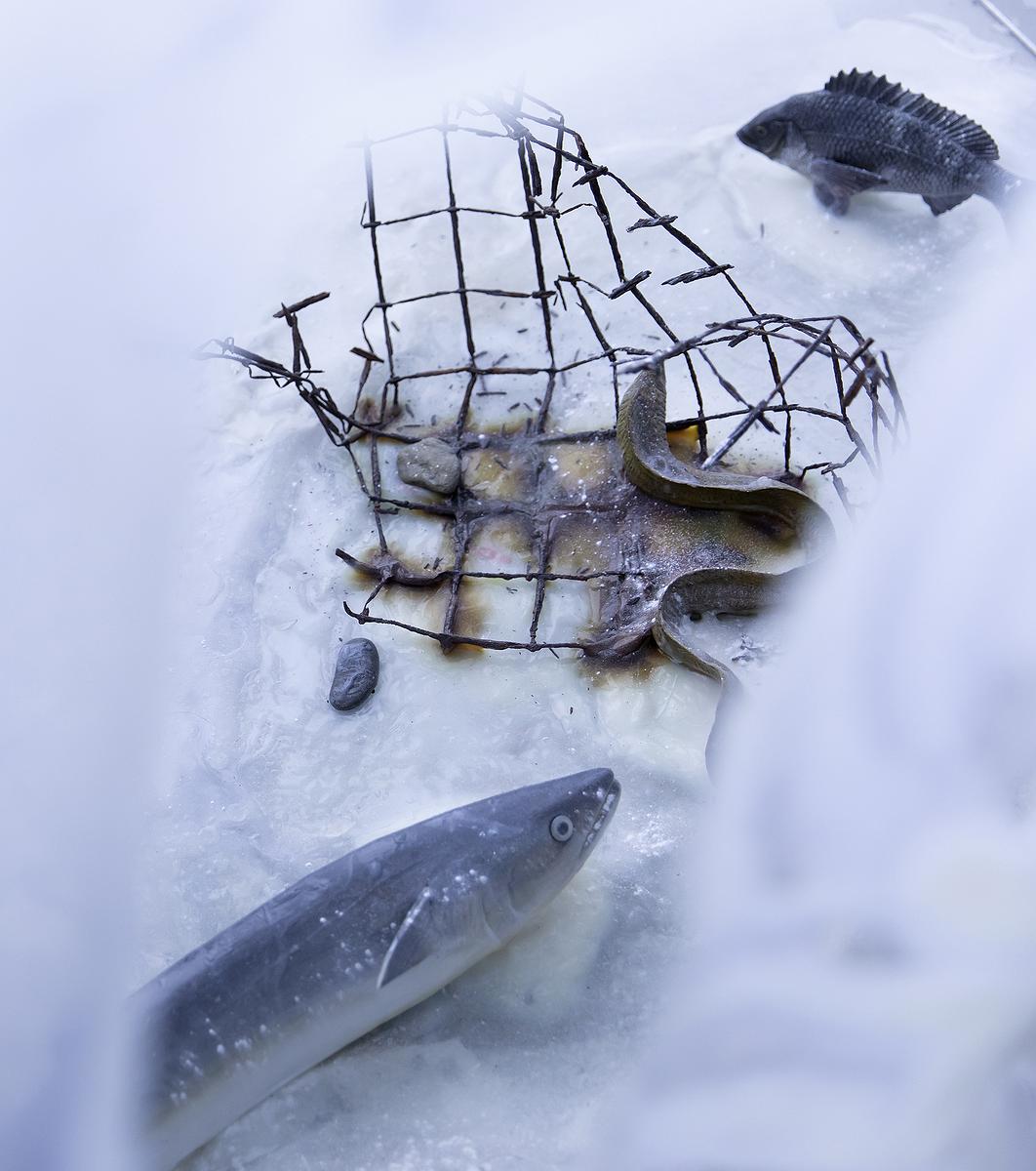 〈流變空間〉，2022，左：樹酯、漁網、繪製後的模型魚、海邊廢棄生鏽鐵絲網、石頭、痱子粉、Antari ICE-101。右：繪製後的模型螃蟹、海參、漂流木、海邊吸管。依場域而定，作品局部-1的封面圖