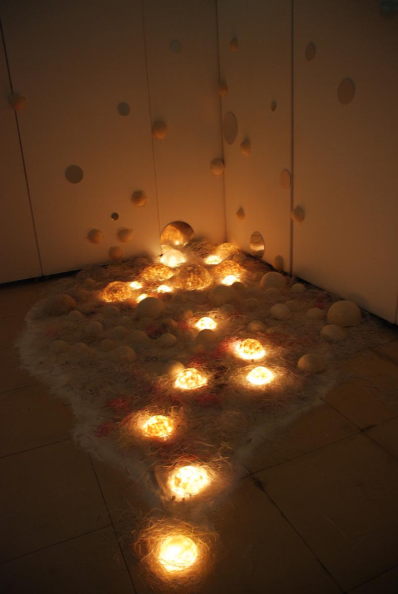 生命意象-半圓體整體場域的封面圖