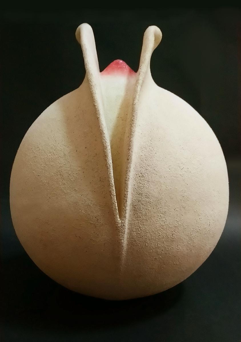 與植物對話 — 魏金蕊陶藝創作論述-《醞釀》的封面圖