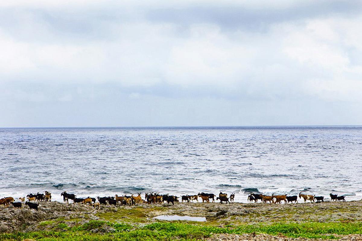 Lanyu of Seeing-34's Cover