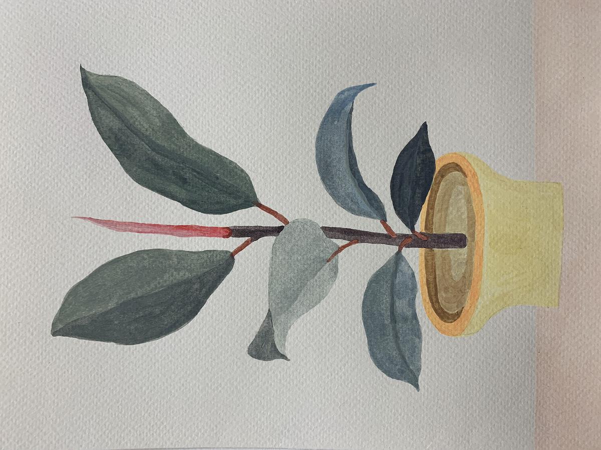 Plants Healing—A Discourse on Ying-Syuan Huang's Artworks's Cover