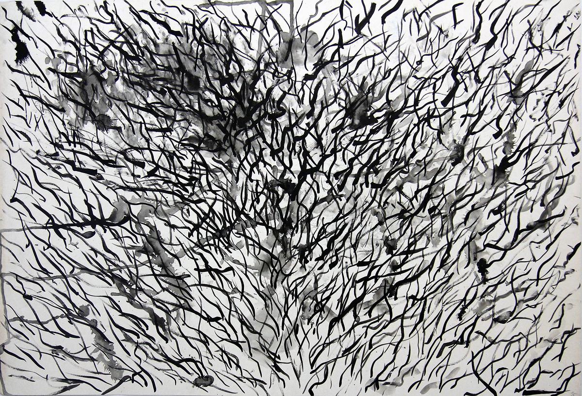 她的花園的封面圖