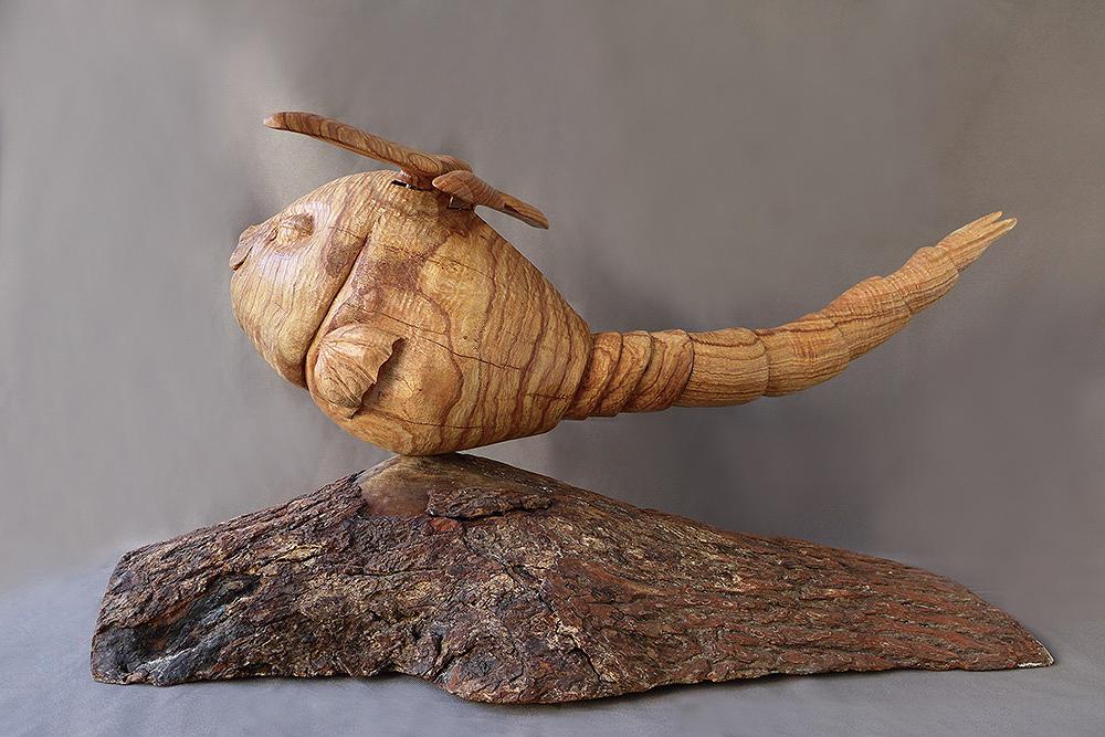 2013蜻蜓魚a的封面圖