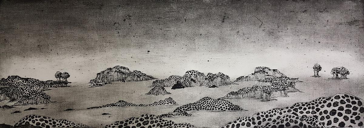 北海岸的封面圖