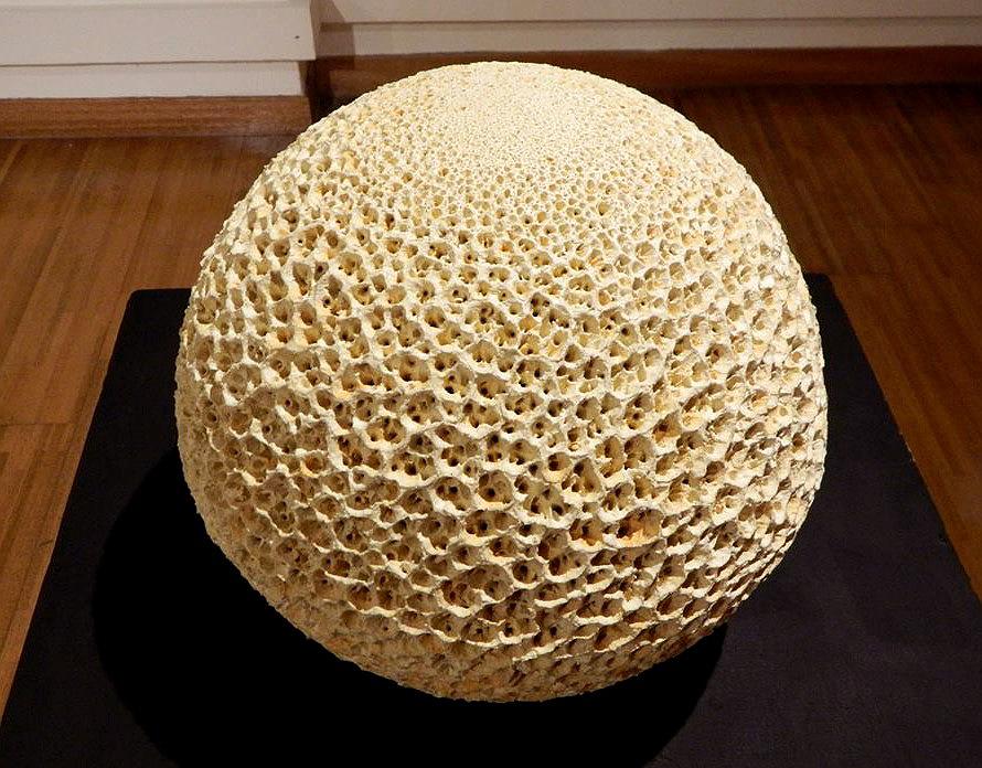 與植物對話 — 魏金蕊陶藝創作論述-《基因轉殖》展出效果。的封面圖