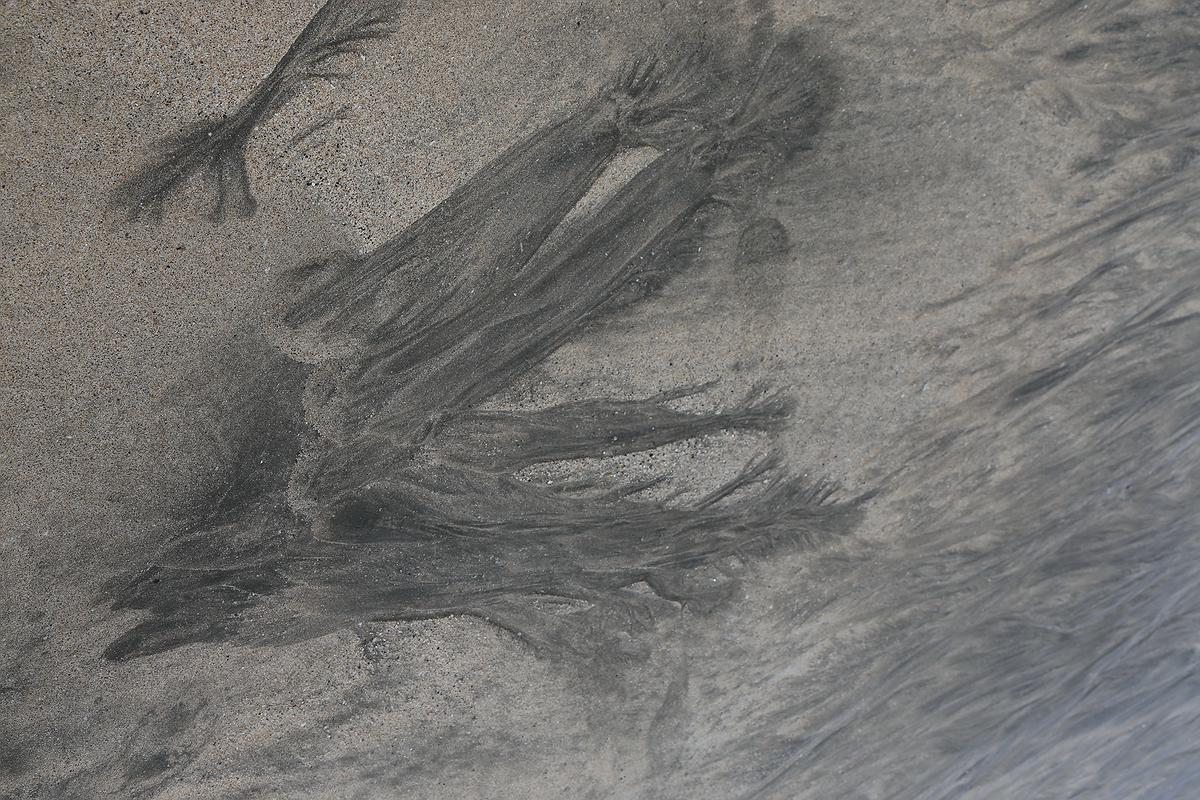 水紋系列-舞姿-2017-澎湖的封面圖