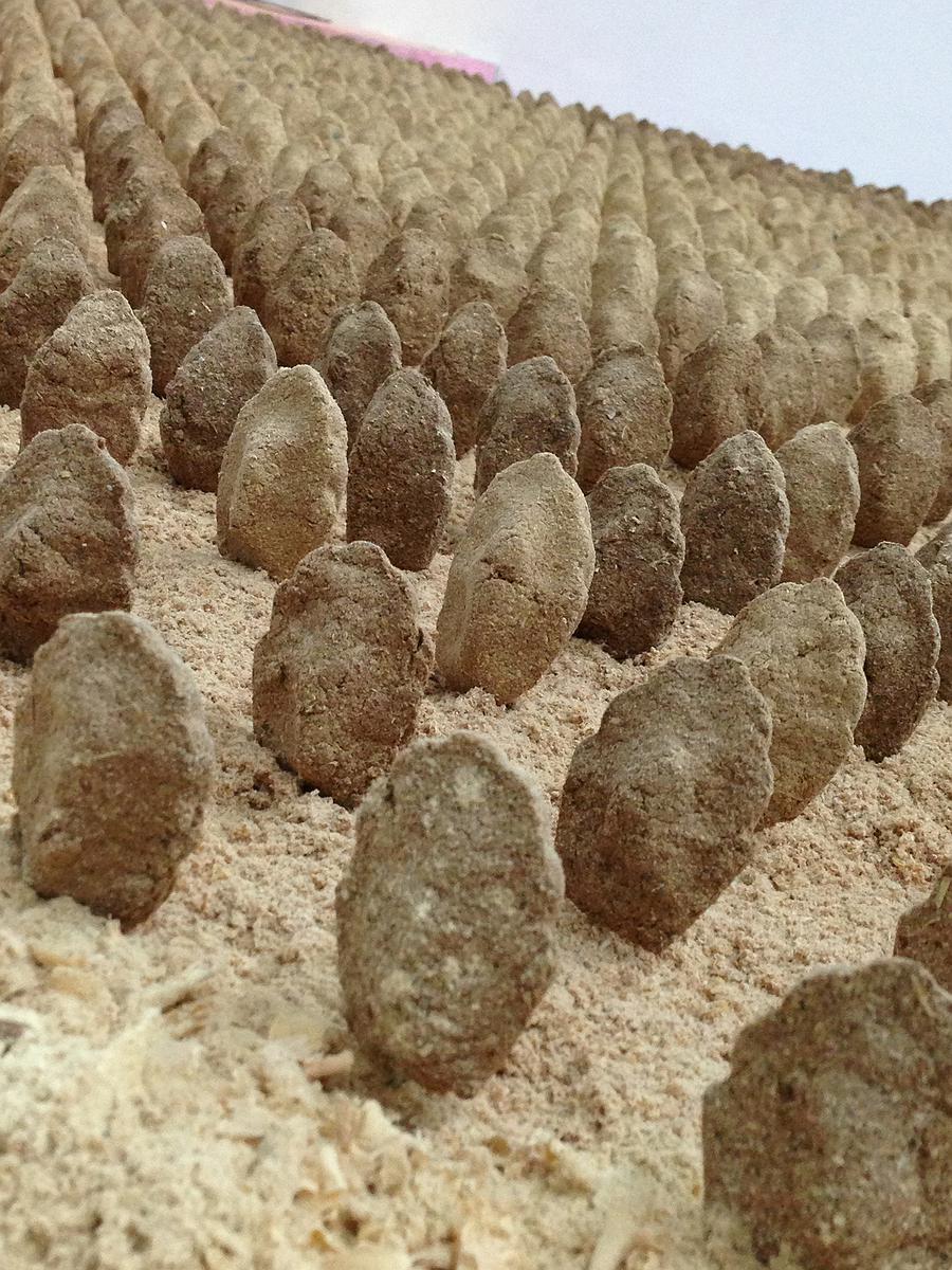 作品4-瑪德蓮碑-局部2的封面圖