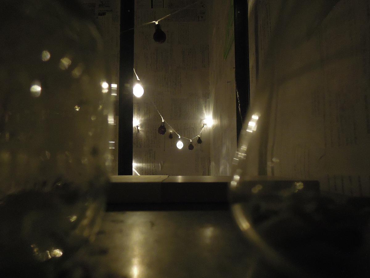 逐往潮騷-29的封面圖