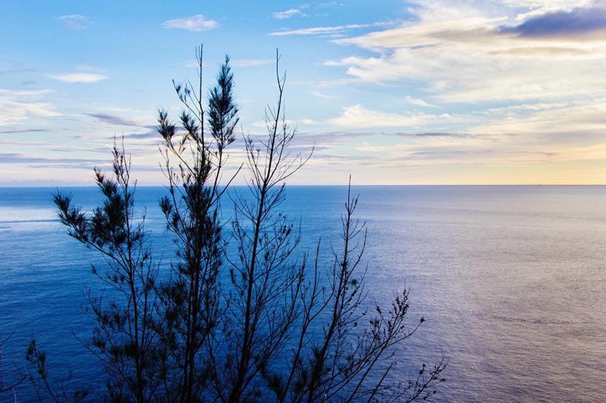 Lanyu of Seeing-2's Cover