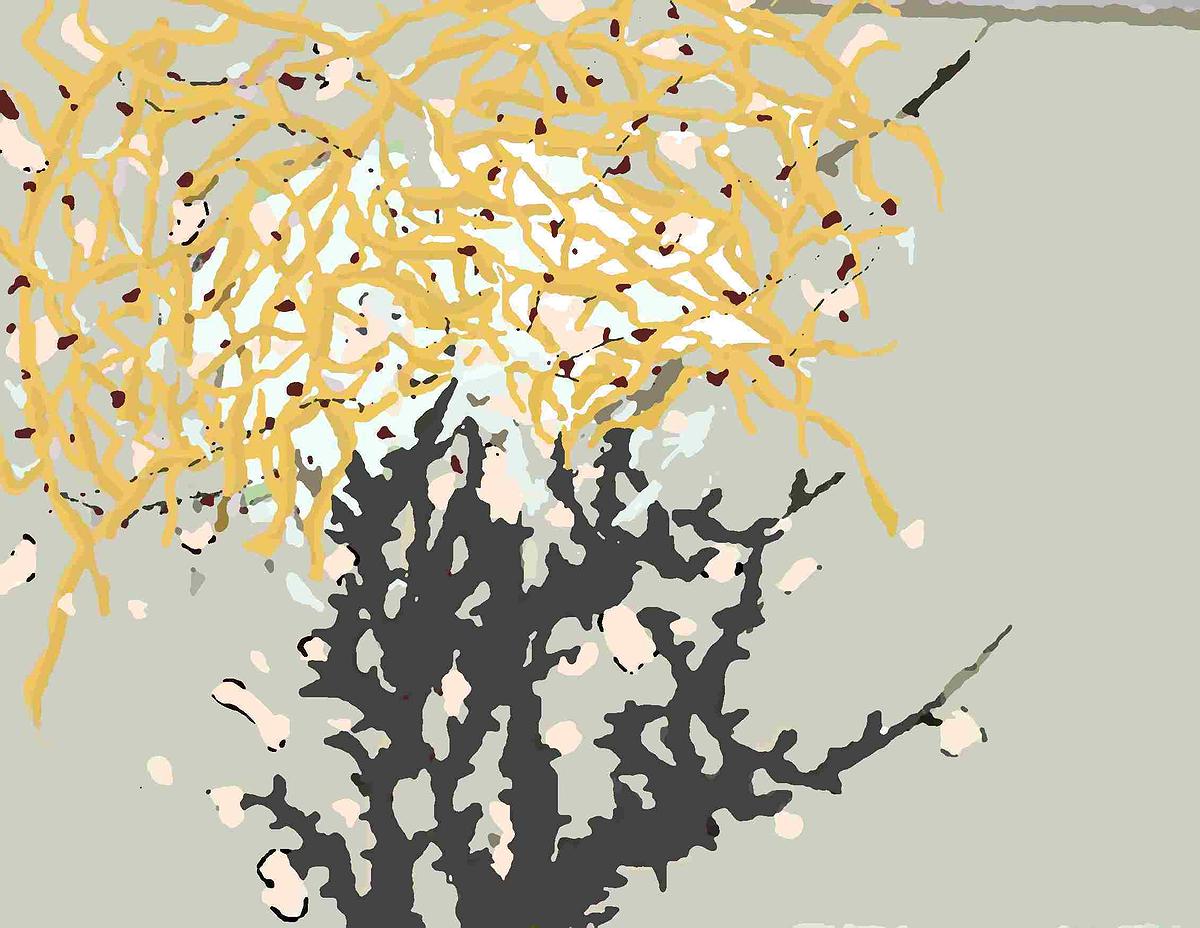 囈想2011-3的封面圖