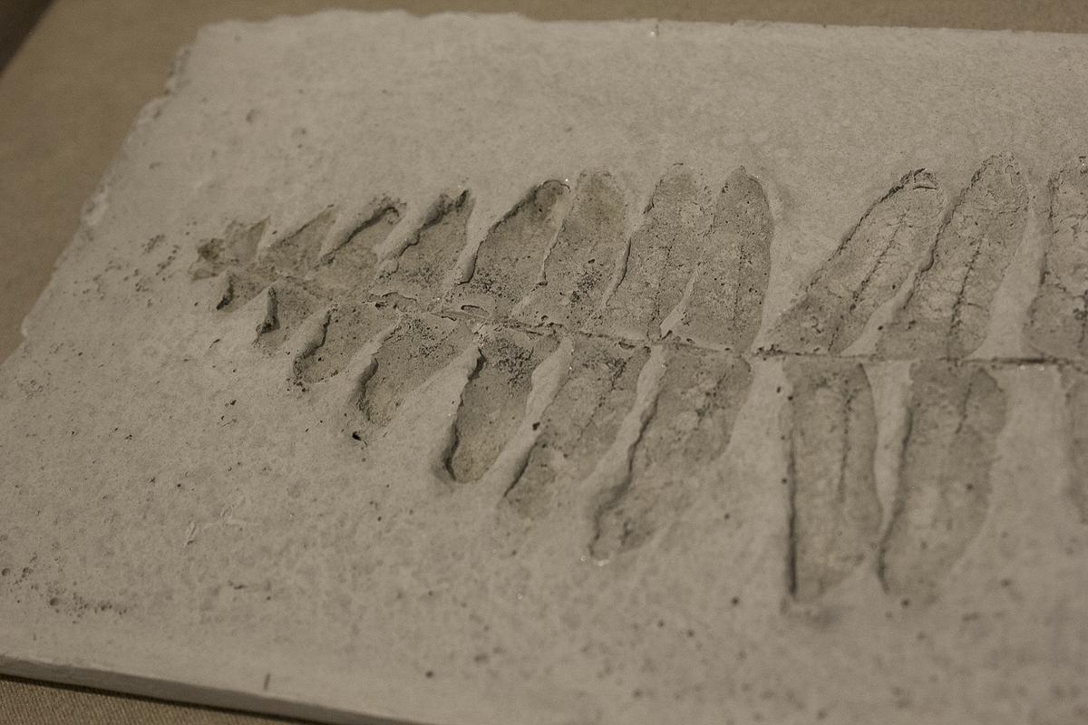 “The One” in Pluralist Creation：Research of Chen, Yu-Ting's Cover