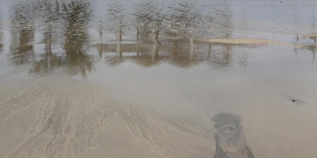 水紋系列-年少-2017-澎湖的封面圖