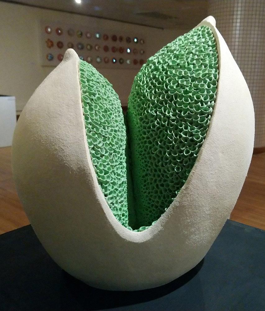 與植物對話 — 魏金蕊陶藝創作論述-《生命的躍動》的封面圖