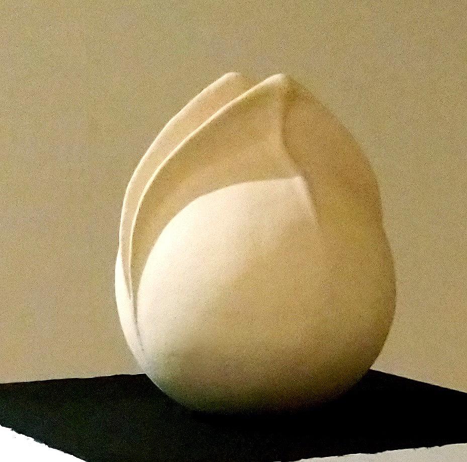 與植物對話 — 魏金蕊陶藝創作論述-《醞釀》側面展出效果。的封面圖