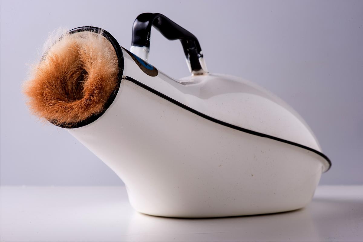 淑女的核心價值與方法的開始的封面圖