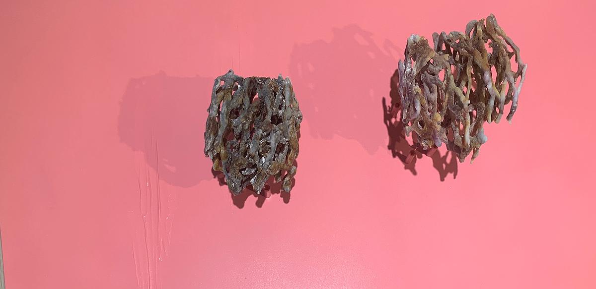 境域系列-裝飾作品_實驗計畫II (2)的封面圖
