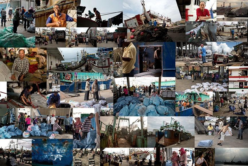 〈迷網之境〉-2，2018，漁網、影像、裝置，作品局部。的封面圖