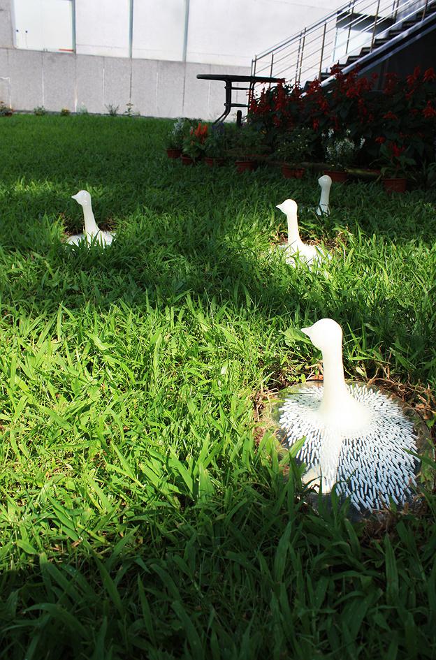 《黃色小鳥─看不見》的封面圖