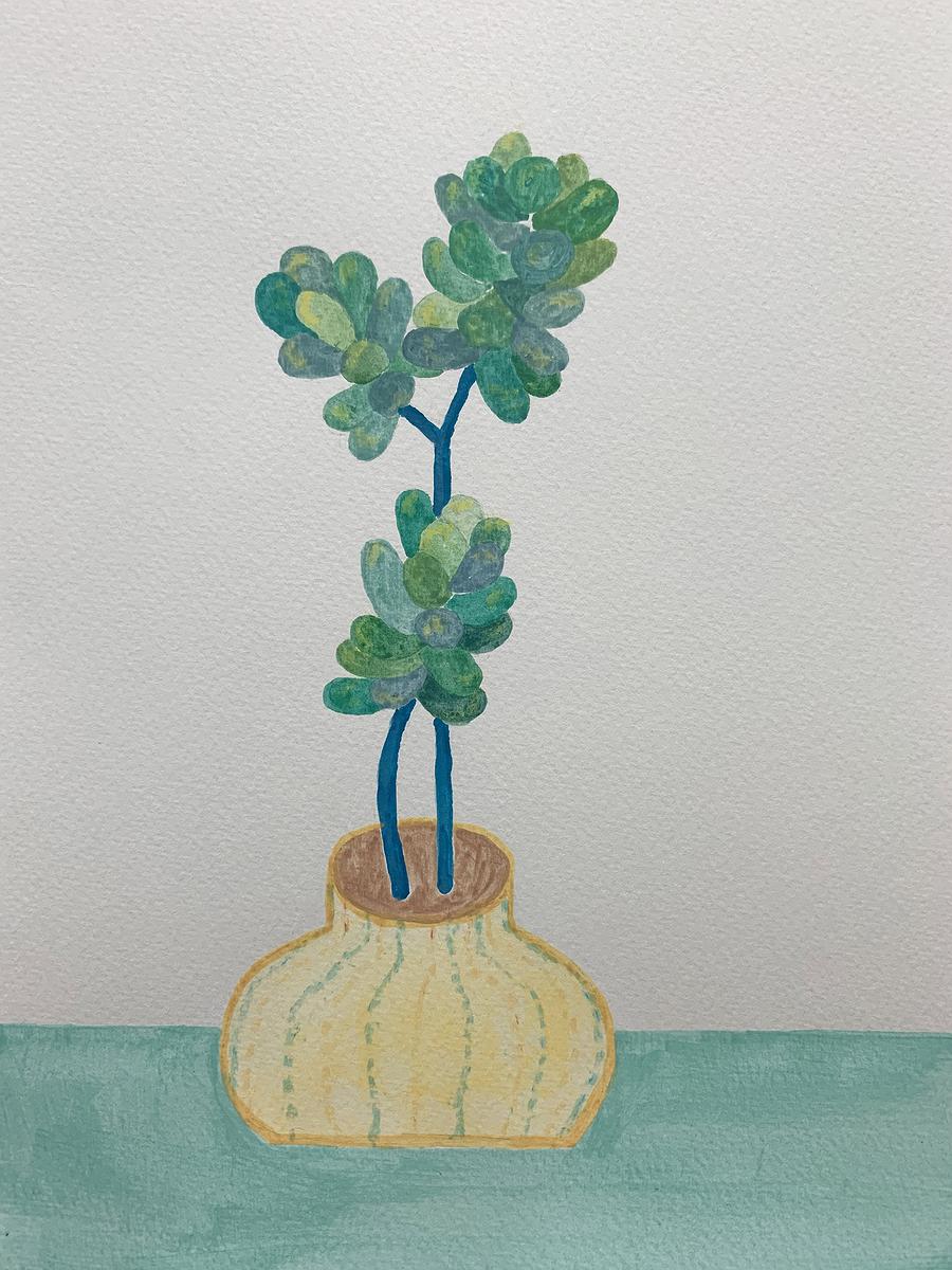 植物療癒—黃瑩瑄創作論述 花草系列 多肉盆栽 11的封面圖