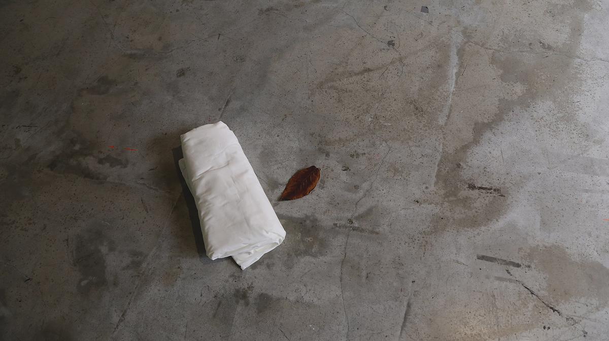 棲居詩學—梁家寧創作論述 《棲居詩》9的封面圖