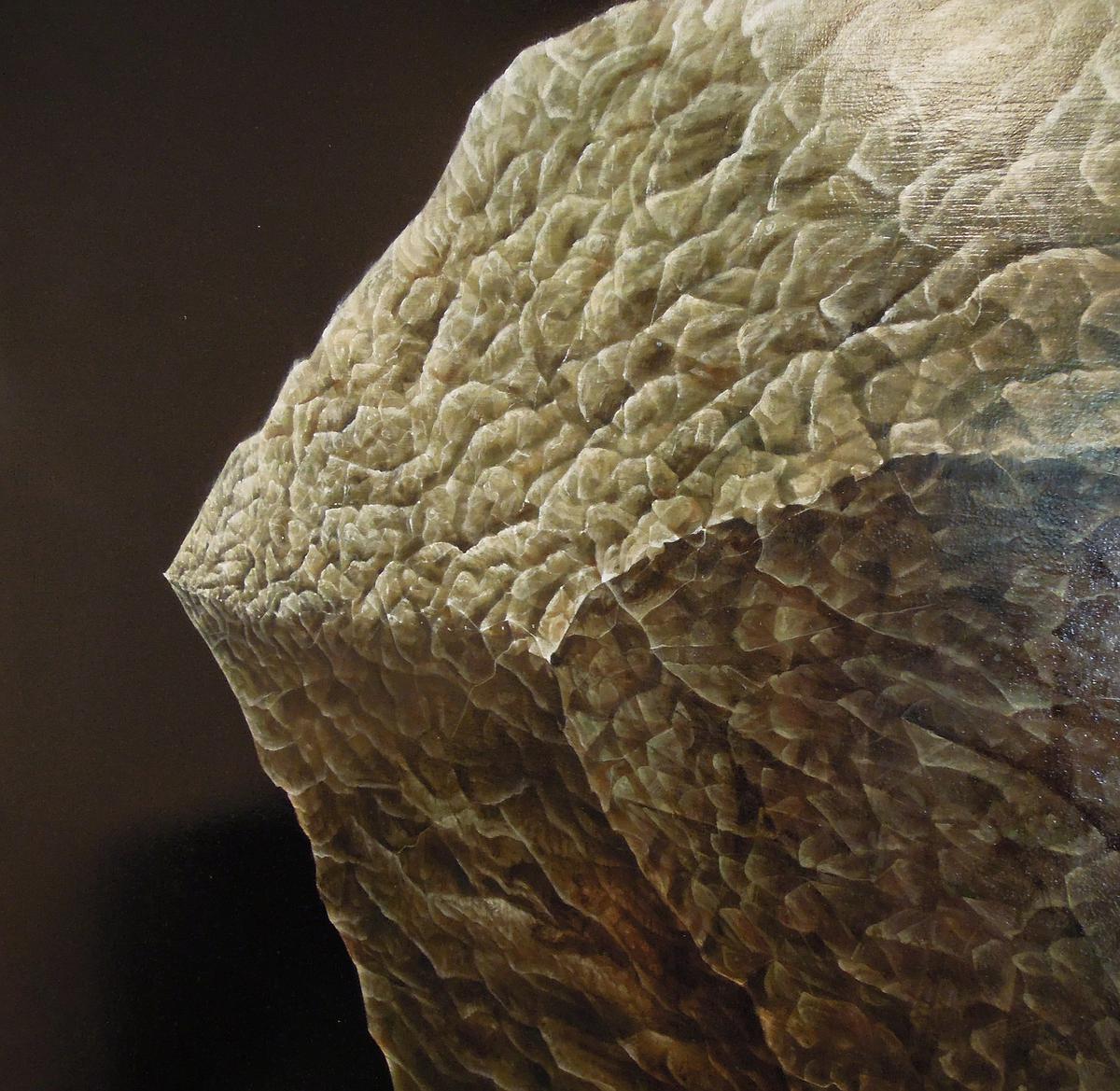 浮動景緻－變形風景之空間部署 群 局部-1的封面圖